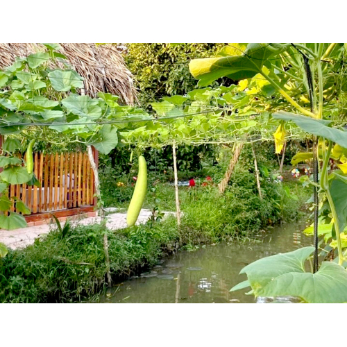 Không gian hoà mình thiên nhiên của Tuấn Tường